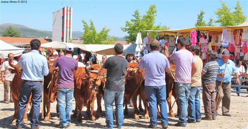 Montalegre - Feira do Prémio 2012