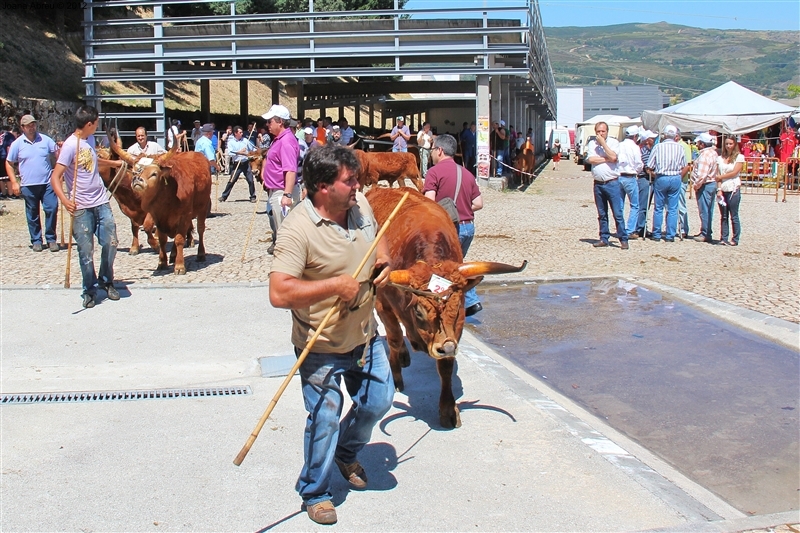 Montalegre - Feira do Prémio 2012