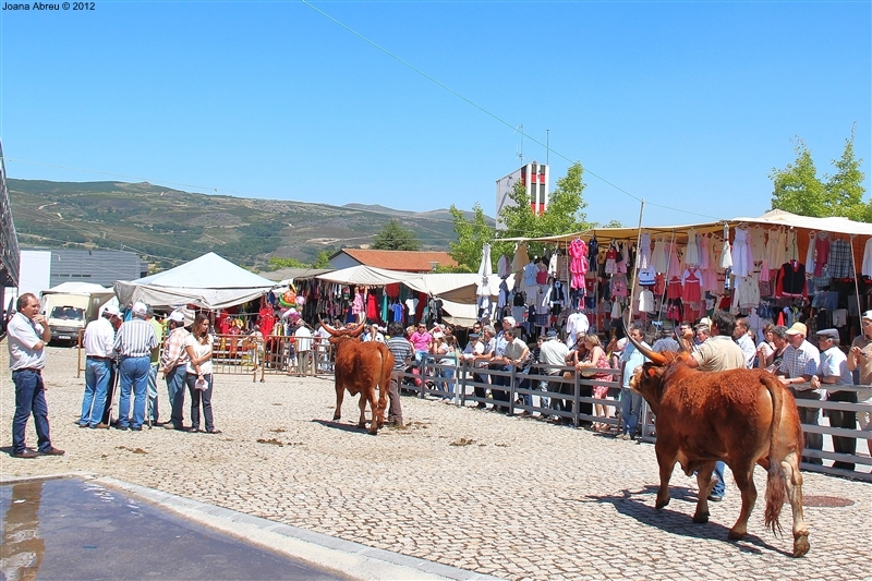 Montalegre - Feira do Prémio 2012