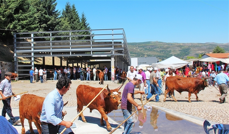 Montalegre - Feira do Prémio 2012