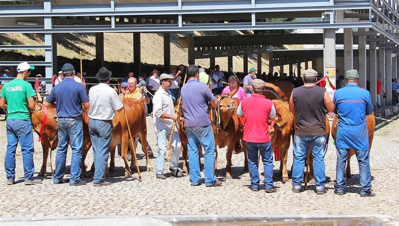 Montalegre - Feira do Prémio 2012