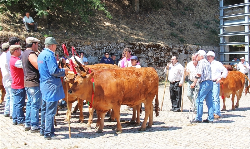 Montalegre - Feira do Prémio 2012