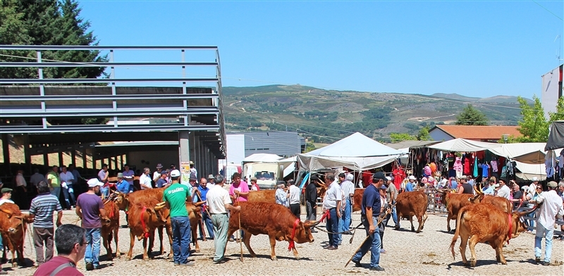 Montalegre - Feira do Prémio 2012