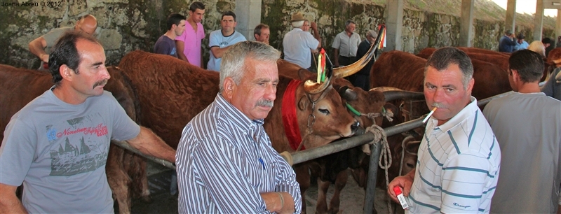 Montalegre - Feira do Prémio 2012