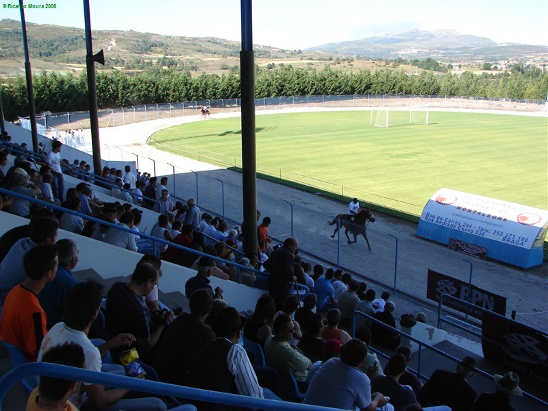 Corrida de Cavalos no Rolo (Fotos)