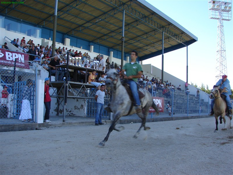 Corrida de Cavalos no Rolo (Fotos)