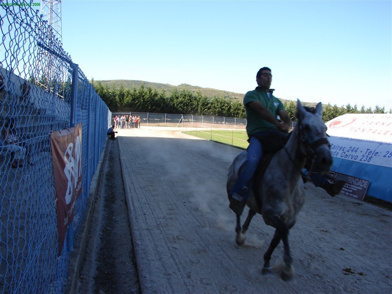 Corrida de Cavalos no Rolo (Fotos)