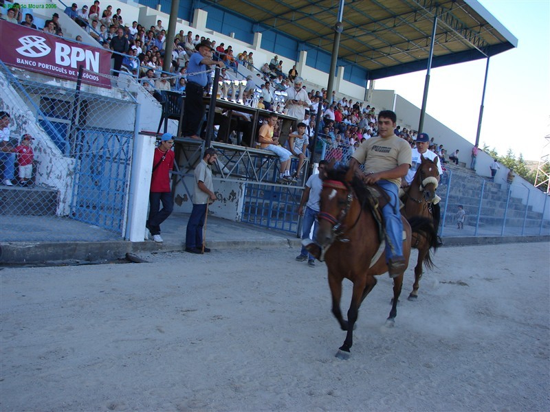 Corrida de Cavalos no Rolo (Fotos)