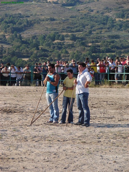 Final do Torneio de Chegas de Bois (fotos)