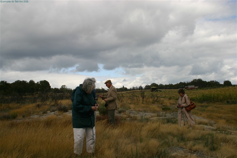 Via Romana em Montalegre suscita o interesse de investigadores da Universidade de Cambridge