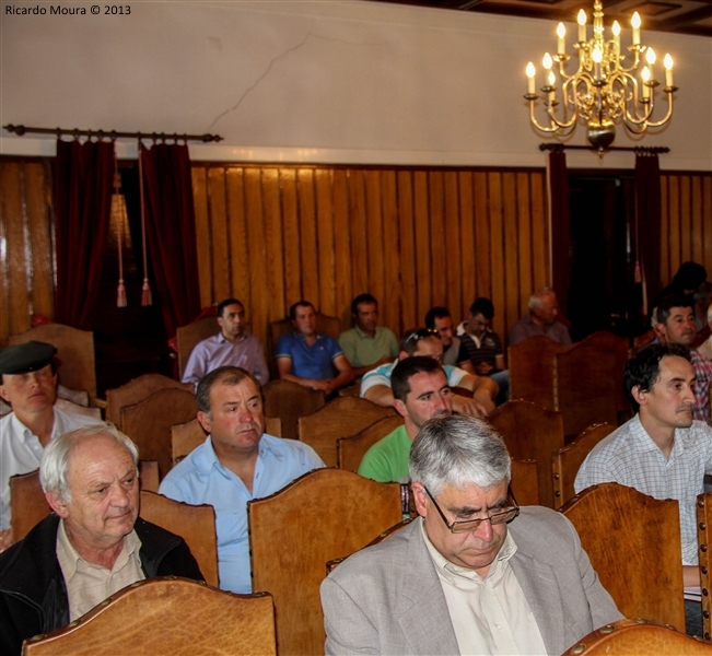 Assembleia Municipal - 28 Junho 2013