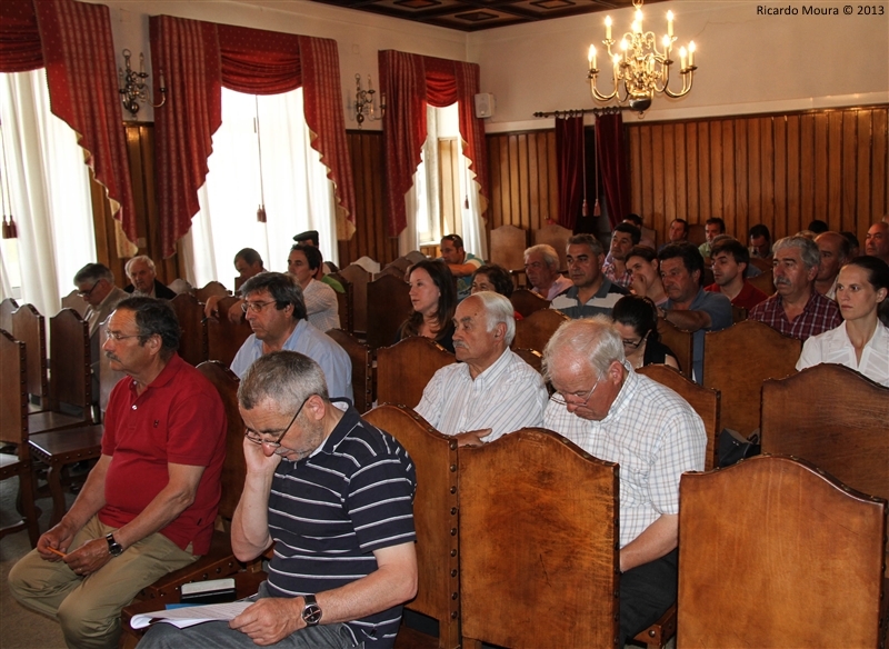 Assembleia Municipal - 28 Junho 2013