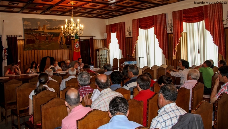 Assembleia Municipal - 28 Junho 2013