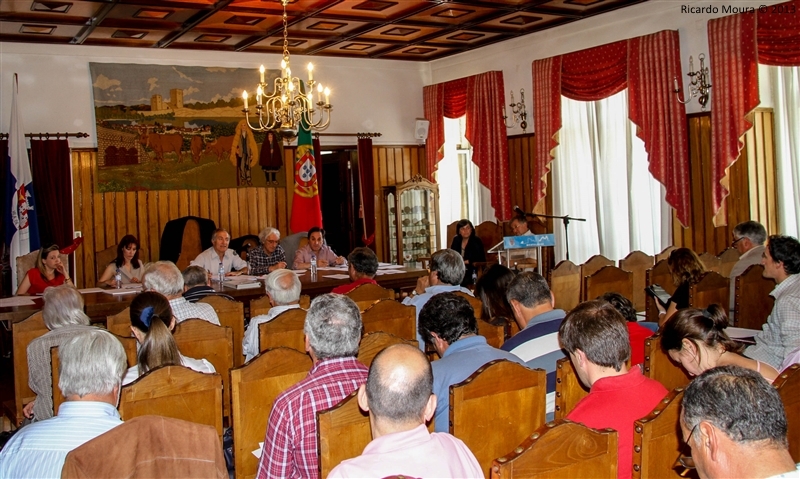 Assembleia Municipal - 28 Junho 2013