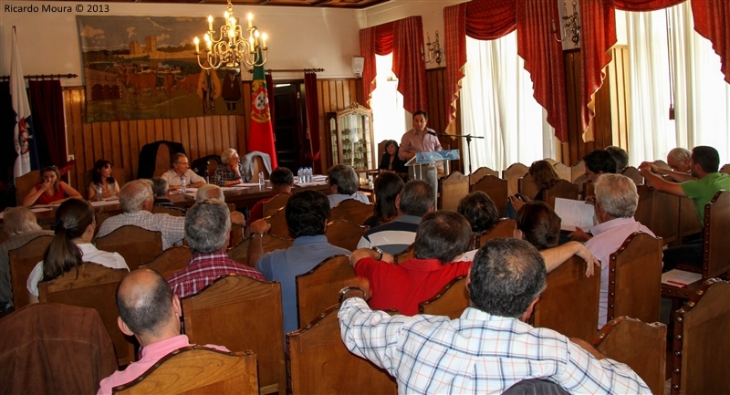 Assembleia Municipal - 28 Junho 2013