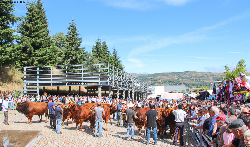 Montalegre - Feira do Prémio 2013