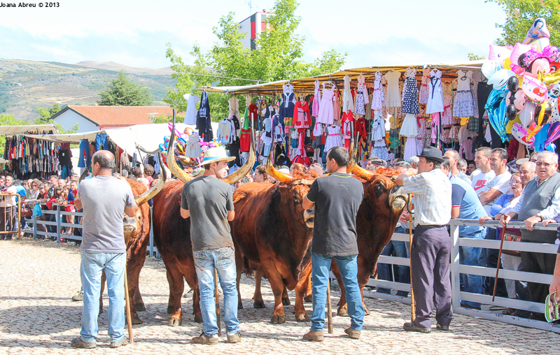 Montalegre - Feira do Prémio 2013