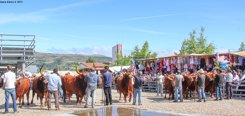 Montalegre - Feira do Prémio 2013