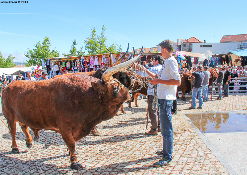 Montalegre - Feira do Prémio 2013