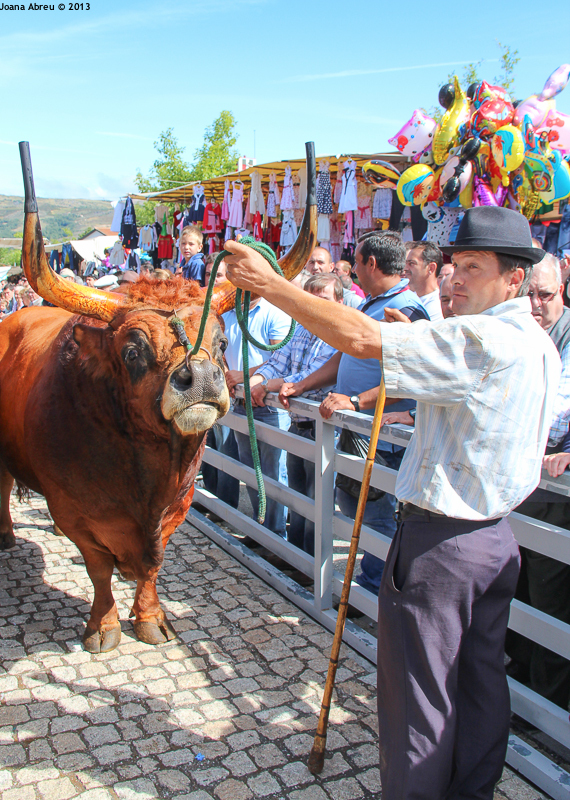 Montalegre - Feira do Prémio 2013