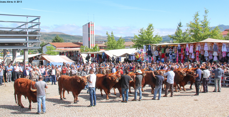 Montalegre - Feira do Prémio 2013