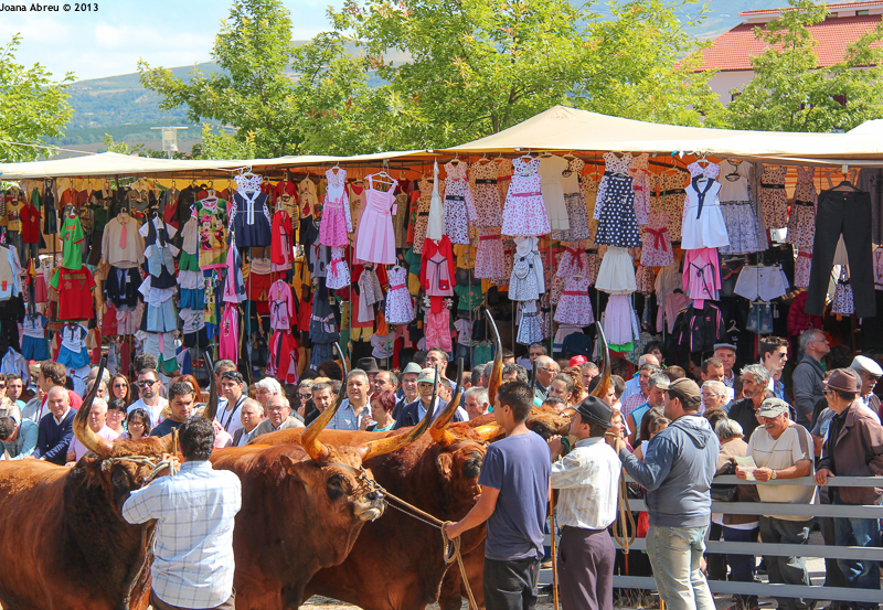 Montalegre - Feira do Prémio 2013