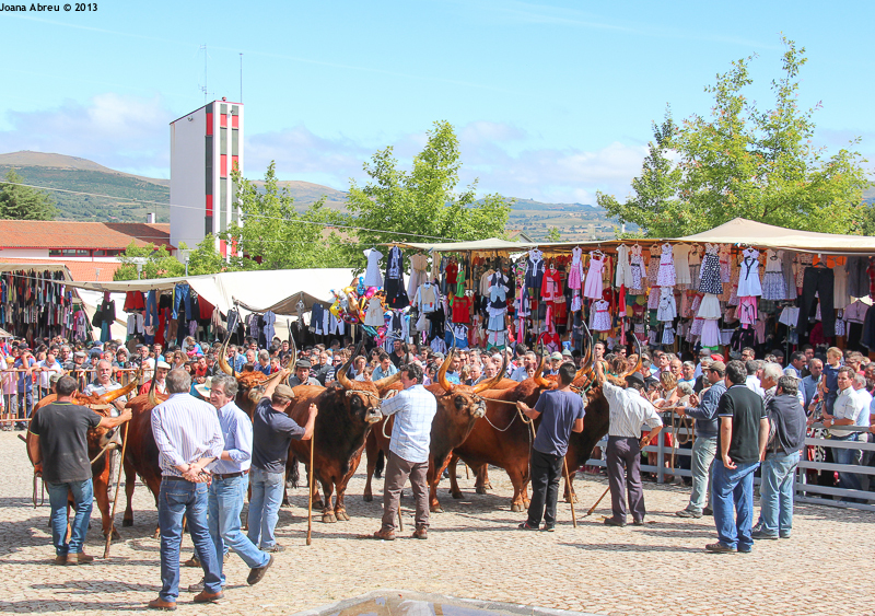 Montalegre - Feira do Prémio 2013