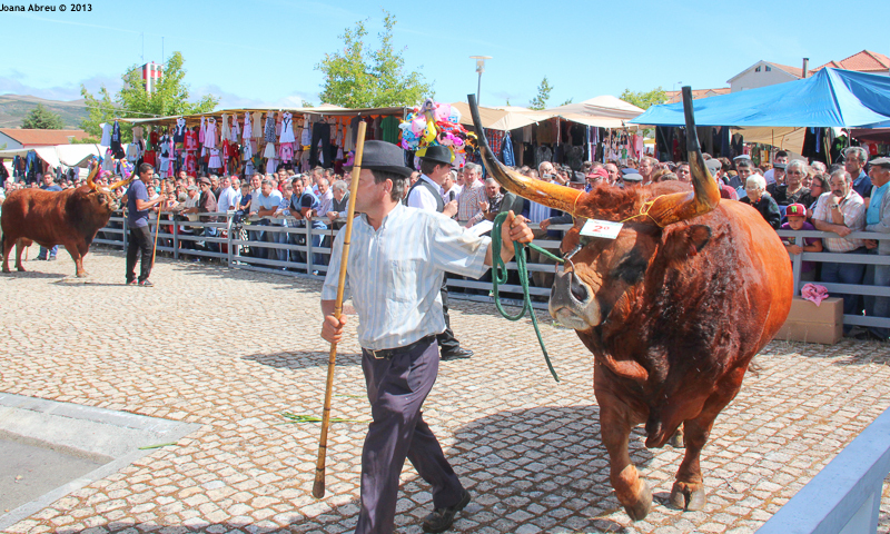 Montalegre - Feira do Prémio 2013