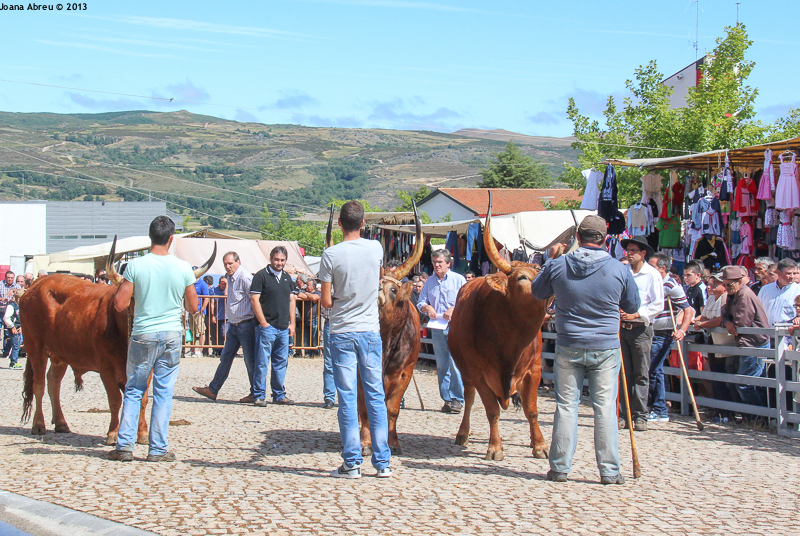 Montalegre - Feira do Prémio 2013