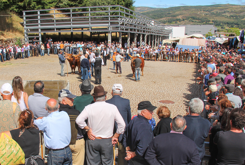 Montalegre - Feira do Prémio 2013