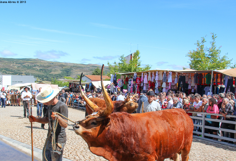 Montalegre - Feira do Prémio 2013