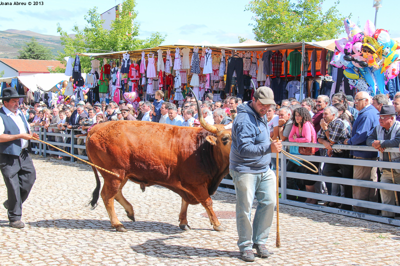 Montalegre - Feira do Prémio 2013