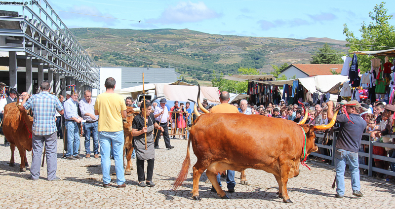 Montalegre - Feira do Prémio 2013