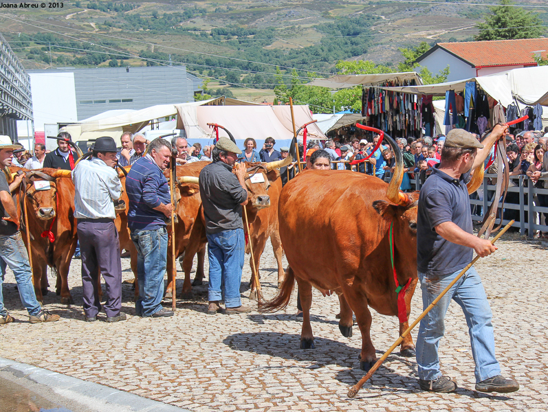 Montalegre - Feira do Prémio 2013
