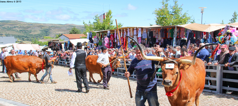 Montalegre - Feira do Prémio 2013