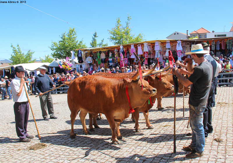 Montalegre - Feira do Prémio 2013
