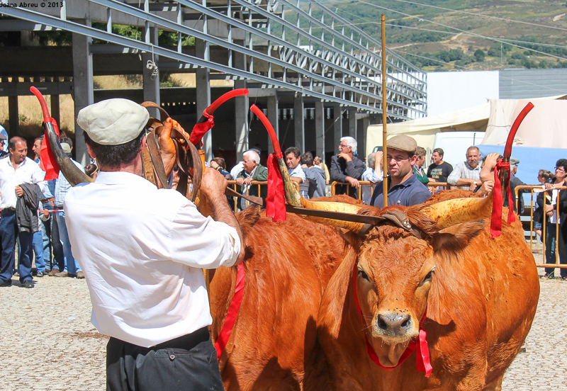 Montalegre - Feira do Prémio 2013