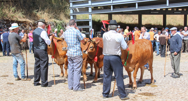 Montalegre - Feira do Prémio 2013