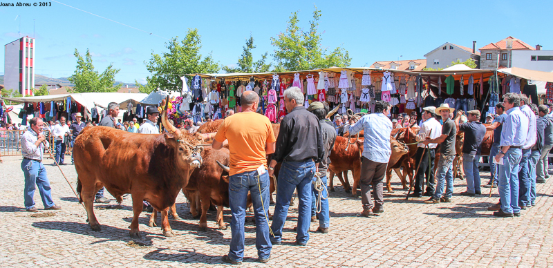 Montalegre - Feira do Prémio 2013