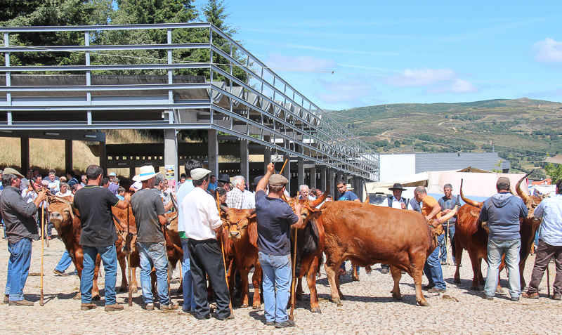 Montalegre - Feira do Prémio 2013