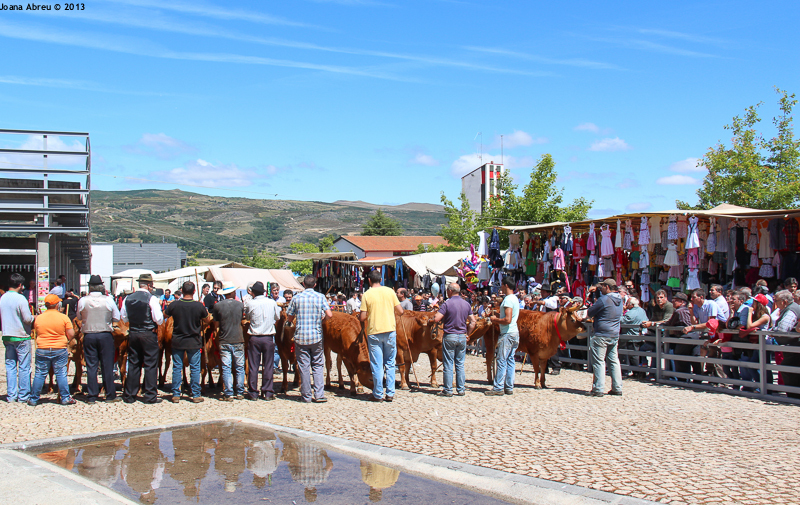 Montalegre - Feira do Prémio 2013