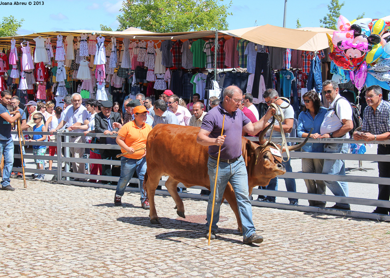 Montalegre - Feira do Prémio 2013