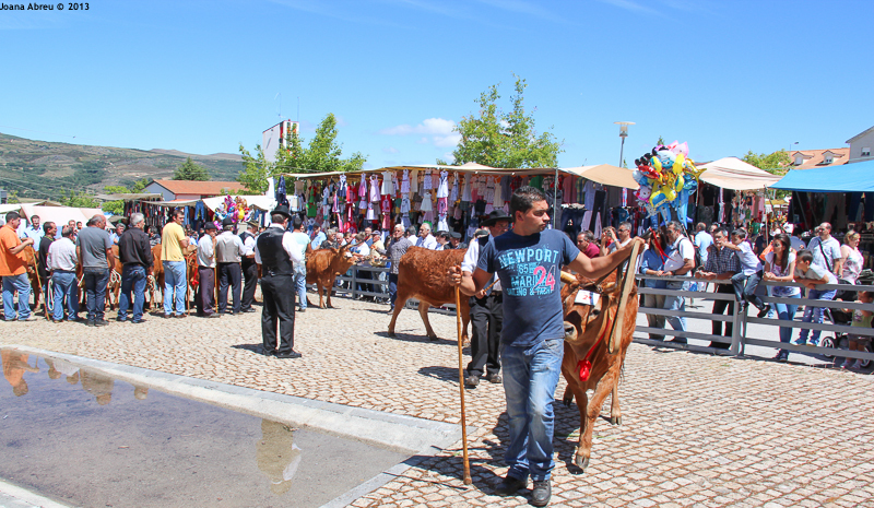 Montalegre - Feira do Prémio 2013
