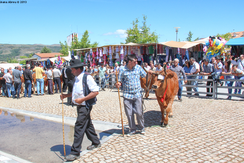 Montalegre - Feira do Prémio 2013