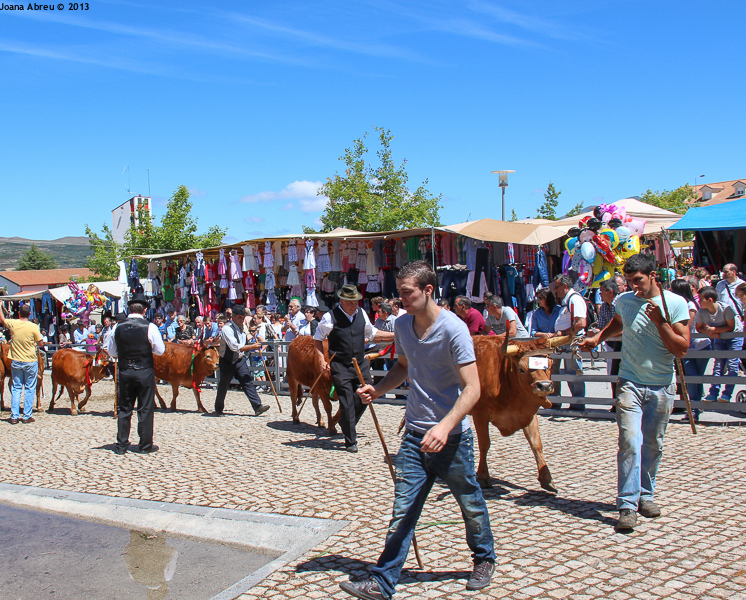 Montalegre - Feira do Prémio 2013