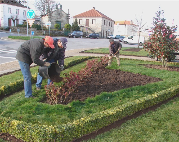 Arranjo nos jardins da Praça do Município