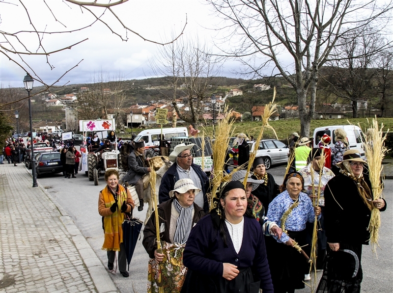 Carnaval 2014 em Vilar de Perdizes