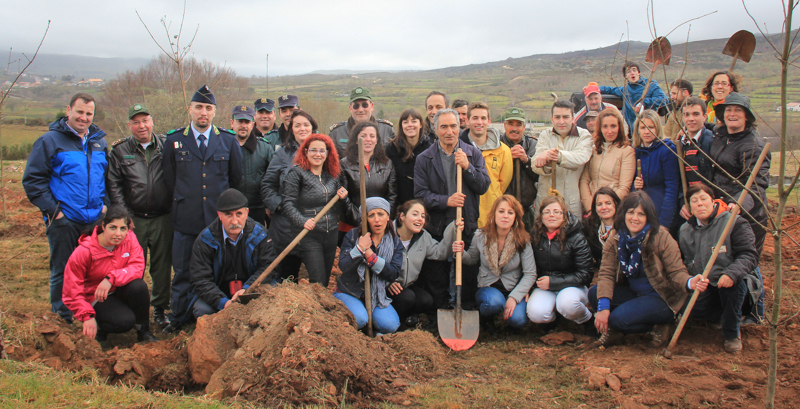 Montalegre assinala &quot;Dia Mundial da Árvore&quot; 2014