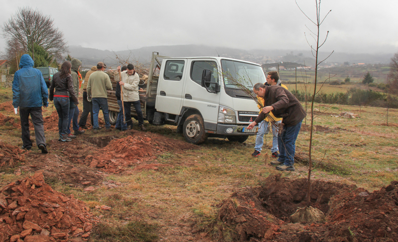 Montalegre assinala &quot;Dia Mundial da Árvore&quot; 2014