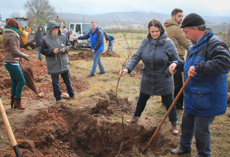 Montalegre assinala &quot;Dia Mundial da Árvore&quot; 2014